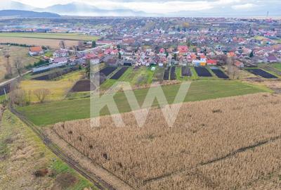 Teren 10000 mp in Extravilan, Bod, Brasov- COMISION 0% - 7