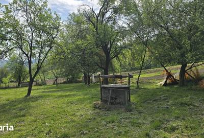 Casă cu 3 camere cu Teren 828 Mp în Șoimuș - 8