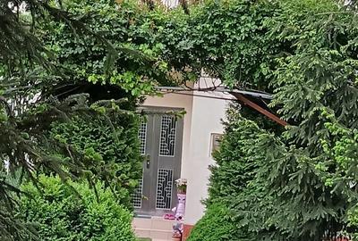 Casă cu 5 camere cu Teren 365 Mp în Zona Industrială - 2