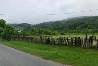 Teren de 6937 mp, în Sălătrucu - 1