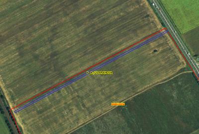 Teren agricol extravilan – deschidere directă DN1 – Bănești, Prahova - 2