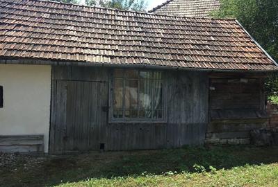 Casă cu Teren 6500 Mp în Dretea - 9