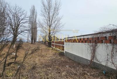 Teren de 57662 mp, în Căiuți - 17