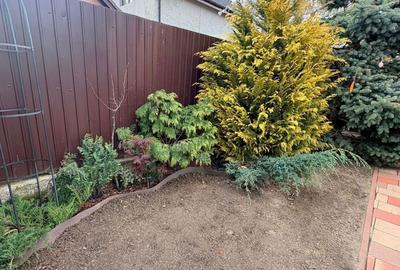 Casă cu 3 camere în Central - 7