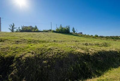 Teren intravilan de 1000 mp, în Săldăbagiu de Munte - 4