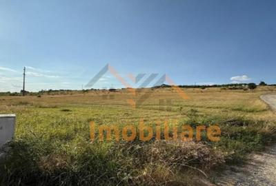 TEREN DE VANZARE | INTRAVILAN | 1638 MP | BEIUS - 1