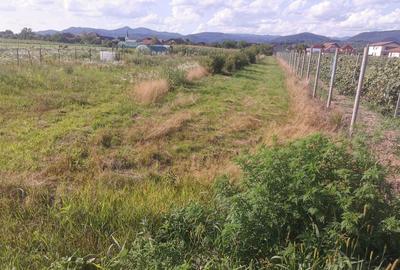 Spațiu comercial, în Săsar - 3