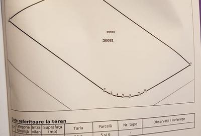 Teren de 1164 mp, în Frumușani - 1