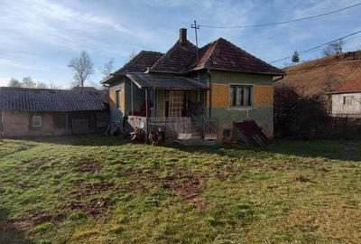 Casă în Ciucea - 10