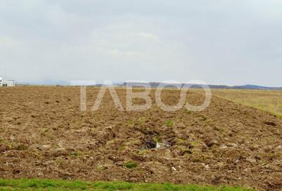 Teren intravilan 20.8 ha deschidere drum zona Industriala Vest Sibiu - 6