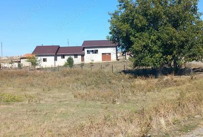 Casă cu 5 camere cu Teren 3100 Mp în Botoroaga - 4