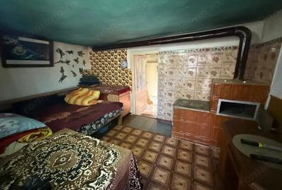 Casă cu 4 camere cu Teren 4382 Mp în Somova - 8