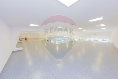 LUX! De inchiriat SPATIU COMERCIAL cu birouri, magazie si acces TIR - 30