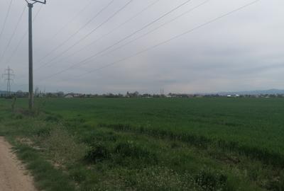Vand teren, 1500 metri patrati, in intravilanul orasului Bacau - 3