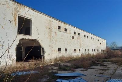 Vanzare depozit/hala/spatiu industrial Buftea -Crevedia - Butimanu - DN1A, Dambo - 3