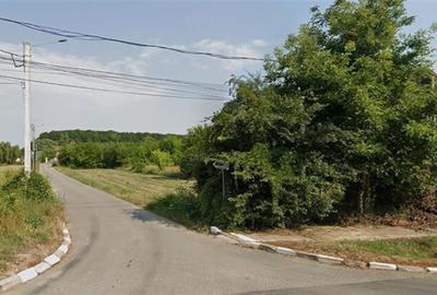 Teren Construcții intravilan de 981 mp, în Snagov - 2