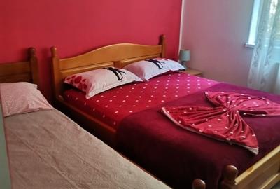 Apartament cu 2 camere decomandat în Nord-Est - 6