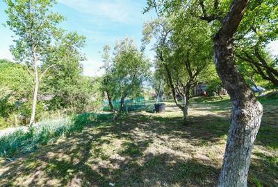Casă cu 3 camere cu Teren 3245 Mp în Bădești - 7