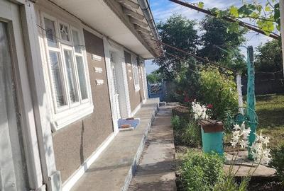 Casă cu Teren 2400 Mp în Cârja