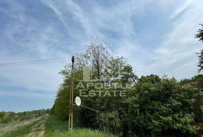 Proprietate unica in padurea de la Bazosul Nou. - 2