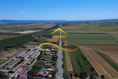 Teren la strada principala - E85 - DE INCHIRIAT - OFERTA! - 6