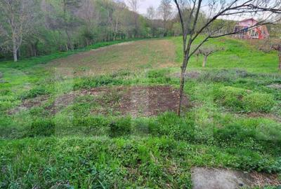 Teren 6650 mp, cu casa nefinalizata de 111 mp, in Nisipoasa - 1