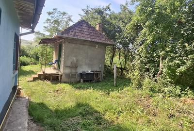 Casă cu Teren 2400 Mp în Mănăștur - 3