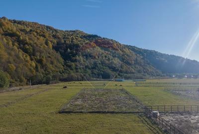 Teren Construcții intravilan de 2100 mp, în Plaiul Foii - 3