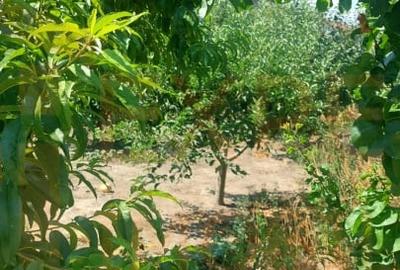 Casa in centrul Cobadinului, COMISION 0% - 1