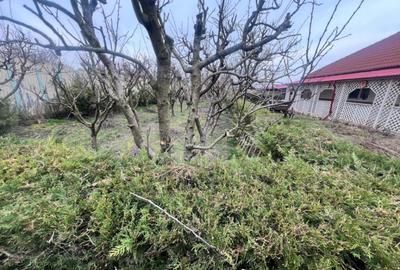 Negru Voda casa cu teren de 1200 mp, constructie 2008 - 13