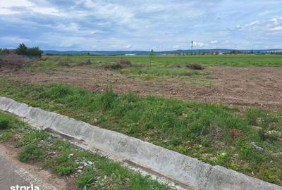 Teren de 800 mp, în Saca