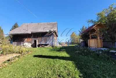 Teren intavilan, 4800 mp, front la strada, utilitati, Rasca - 10