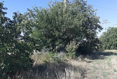 Teren de 4000 mp, în Căldărușeanca - 8