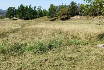 Teren de 18000 mp, în Mihăileni - 6