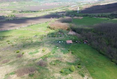 Domeniu - 66 Hectare - Teren deosebit Copsa Mica cu desch... - 11