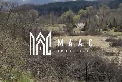 Teren Construcții intravilan de 3717 mp, în Porumbacu de Sus - 5