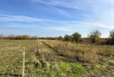 Spațiu comercial, în Central - 2