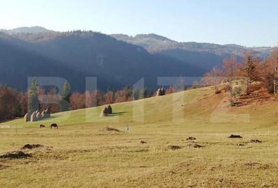 Teren de vanzare, Scarisoara, ideal pentru cabana - 4