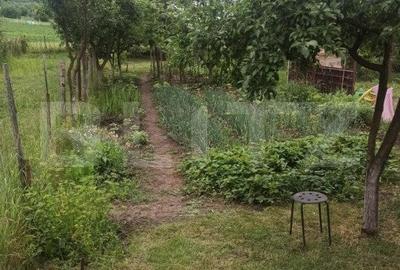 Casa cu 2 camere, 52mp, zona Remetea - 2