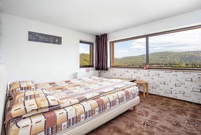 Pensiune Turistica Montana - 19