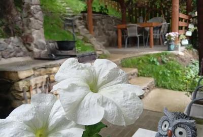 Casă cu 2 camere în Lăpuștești - 5