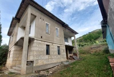 Casa individuala, 1943 mp teren, Suceagu