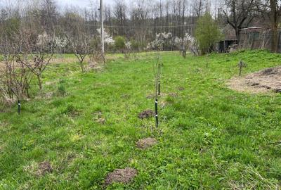 Teren de 2300 mp, în Valea Lungă - 7