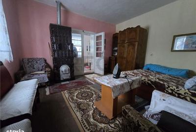 Casă cu 4 camere cu Teren 4000 Mp în Cociuba Mare - 19