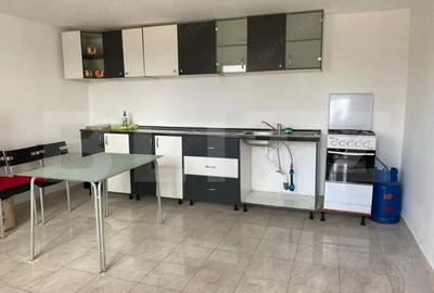 Spa?iu industrial + spa?ii de cazare/birouri de inchiriat 8000 mp teren 2 hale - 2