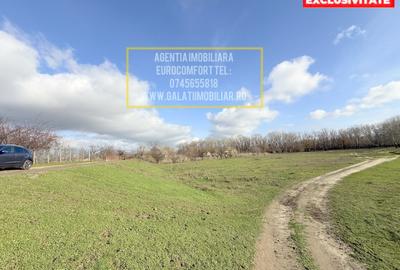 Teren Intravilan 6.600 mp în Galați (Barboși) – Potențial Comercial, Turistic - 6