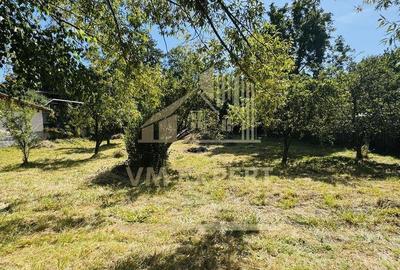 TEREN INTRAVILAN 3234 MP LERE?TI VOINE?TI ARGE? - 13