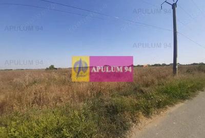 Teren de 1300 mp, în 1 Decembrie - 16