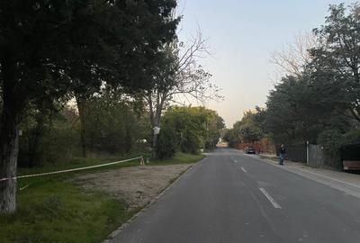 Teren Construcții intravilan de 1000 mp, în Jupiter - 2