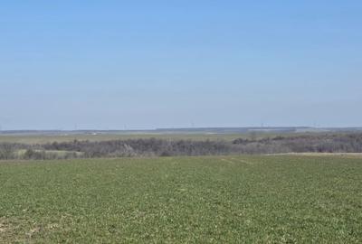 Teren Construcții extravilan de 3800 mp, în Exterior Nord - 2